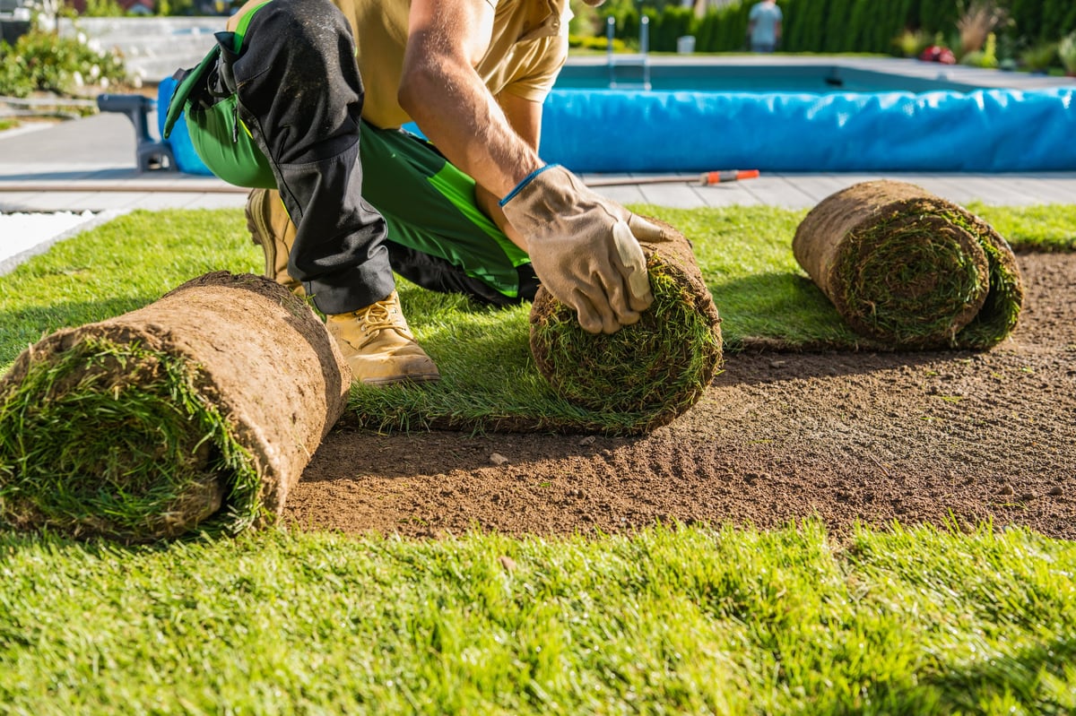 Professional landscaping services transforming outdoor spaces