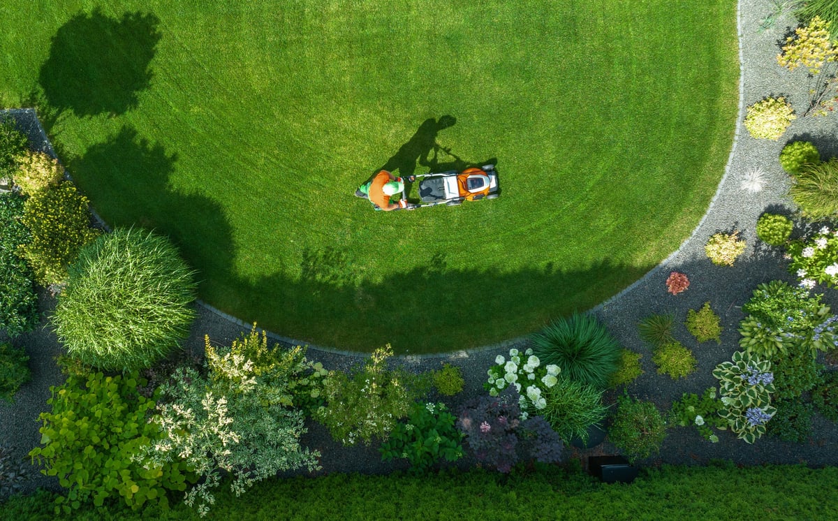 Professional lawn mowing and maintenance
