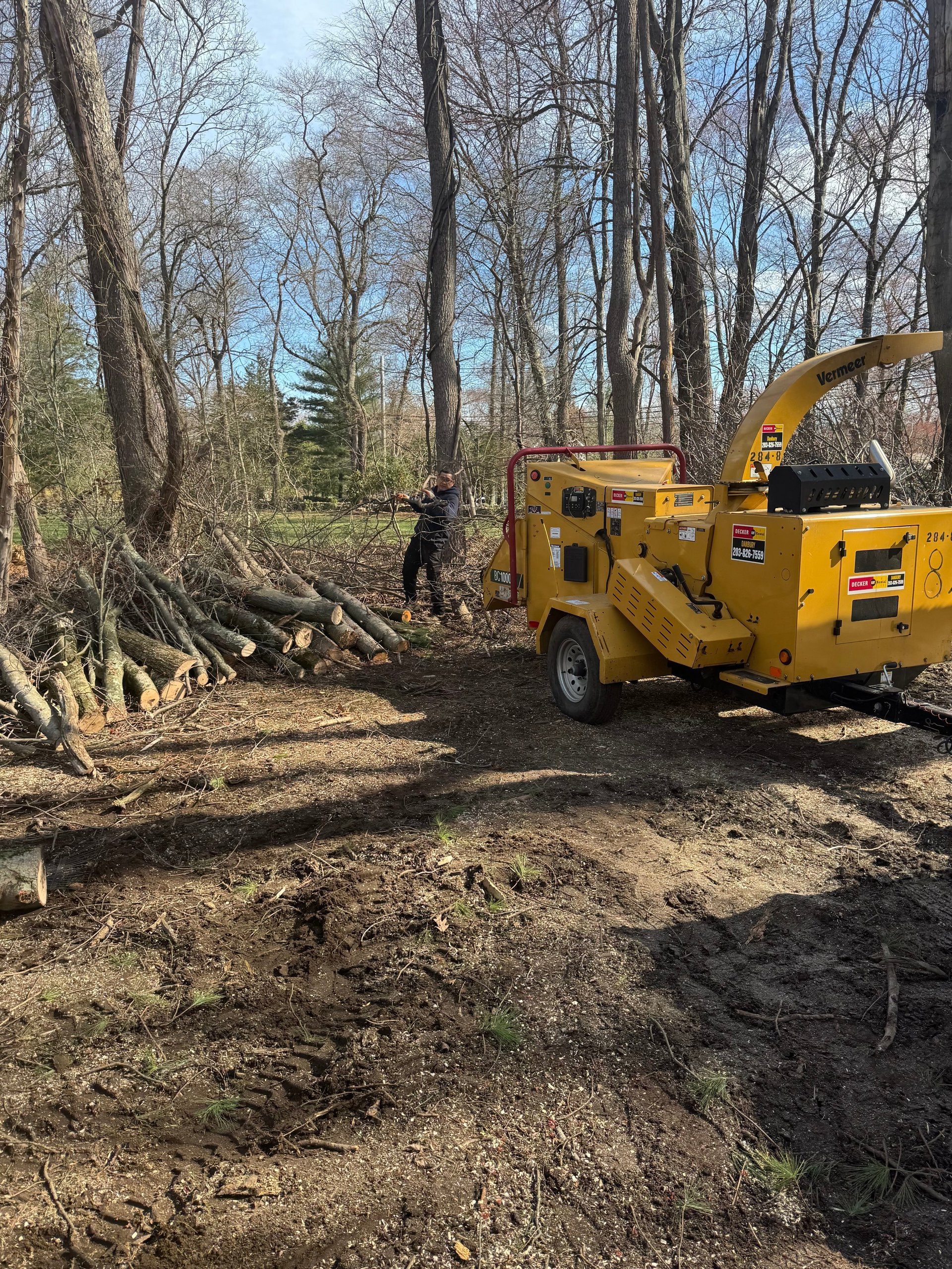 Yellow wood chipper machine operating in a forest clearing with a worker and fallen logs