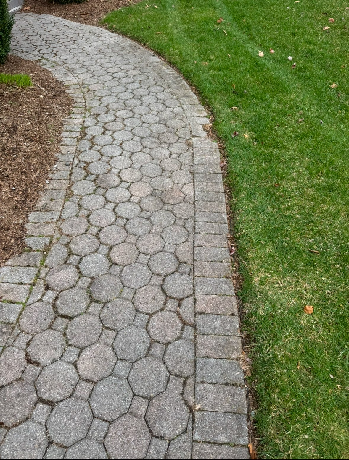 Curved circular stone paver pathway bordering a green lawn with brown mulch on the opposite side